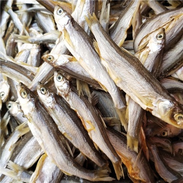 湖南淡水水库嗮干小白条风干餐条盐剖肚农家自制鱼干