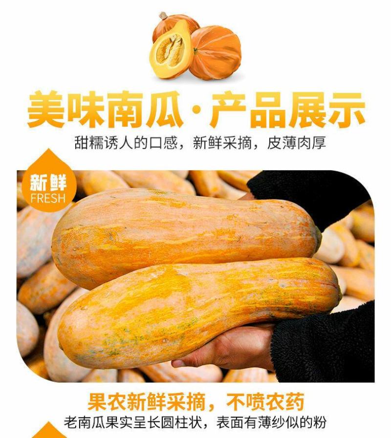 云南老南瓜