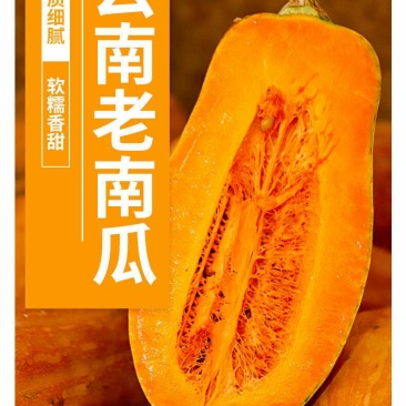 云南老南瓜