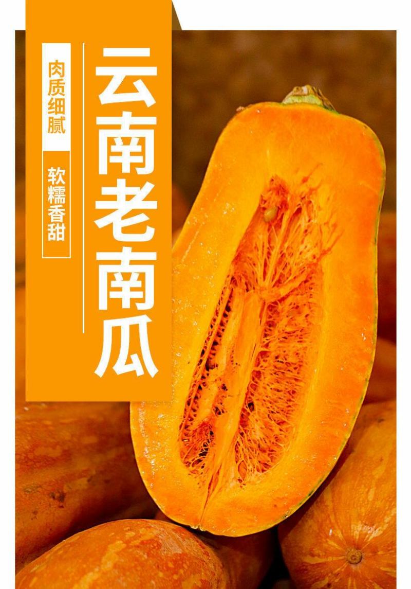 云南老南瓜