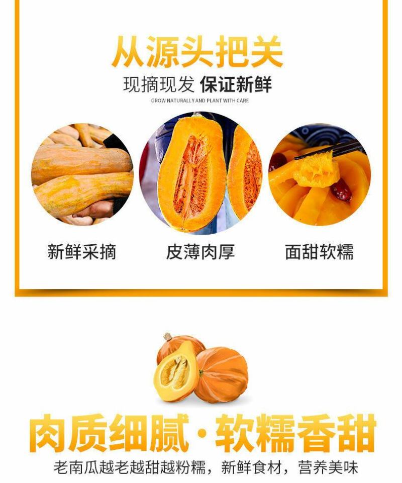 云南老南瓜
