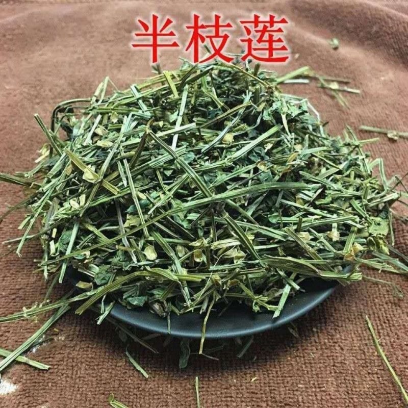 中药材批发半支莲半枝莲挖耳草半枝莲草可搭配