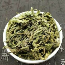 车前草干野生车前草新鲜晒干车轮菜切片精选2020年新