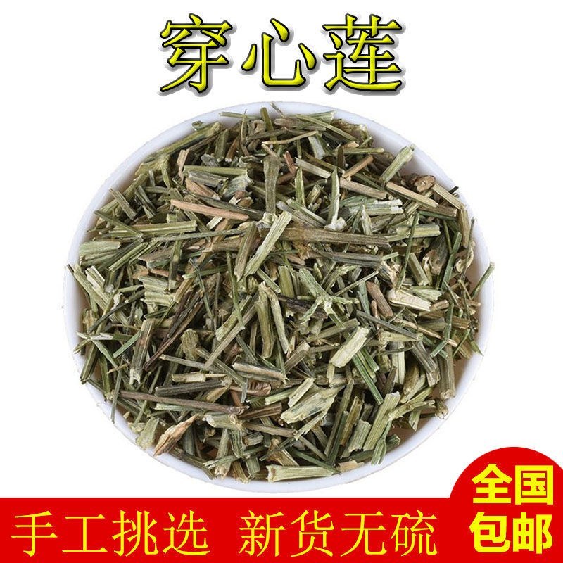 无硫穿心莲中药材500克新货包邮川心连苦胆草穿心莲中草药