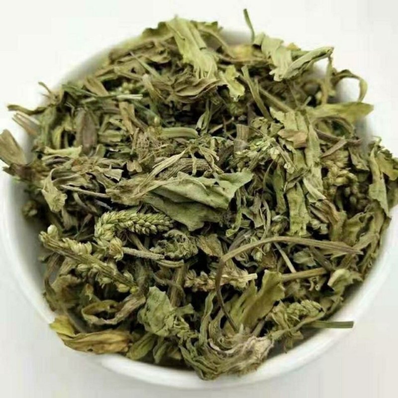 无硫穿心莲中药材500克新货包邮川心连苦胆草穿心莲中草药