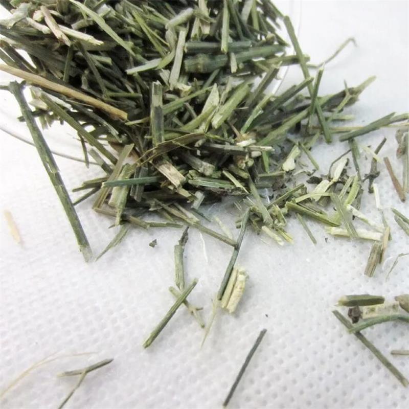 无硫穿心莲中药材500克新货包邮川心连苦胆草穿心莲中草药