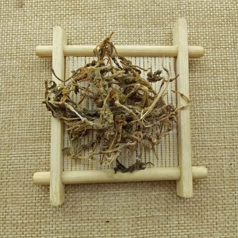 垂盆草正品野生道地中药材精选无硫中药材垂盆草、
