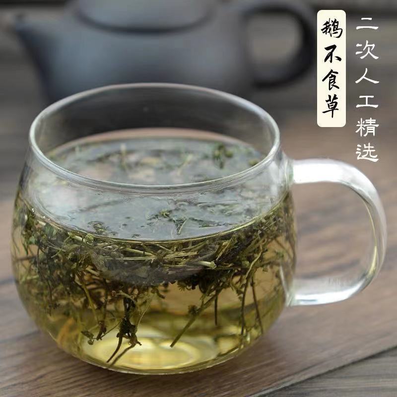 鹅不食草正品中药材鹅不食草野生干农家自晒饿不食草免