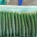 黄瓜干花带刺22~25公分精品亮条黄瓜，乌黑发亮！