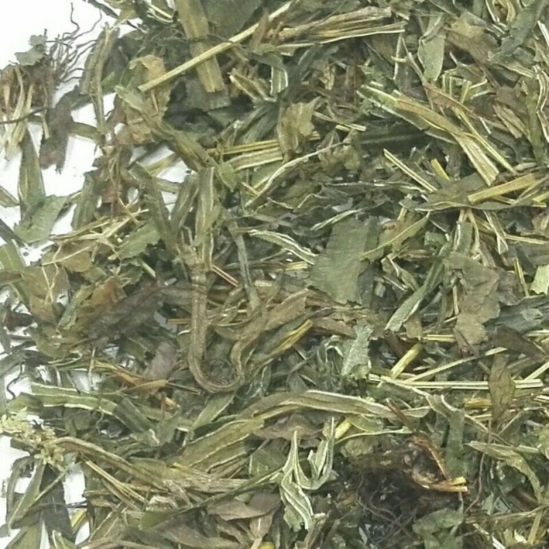 野生品质中药材凤尾草干货500g正品多规格