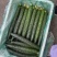 黄瓜18~22公分鲜花带刺，精品黄瓜，**的精品。