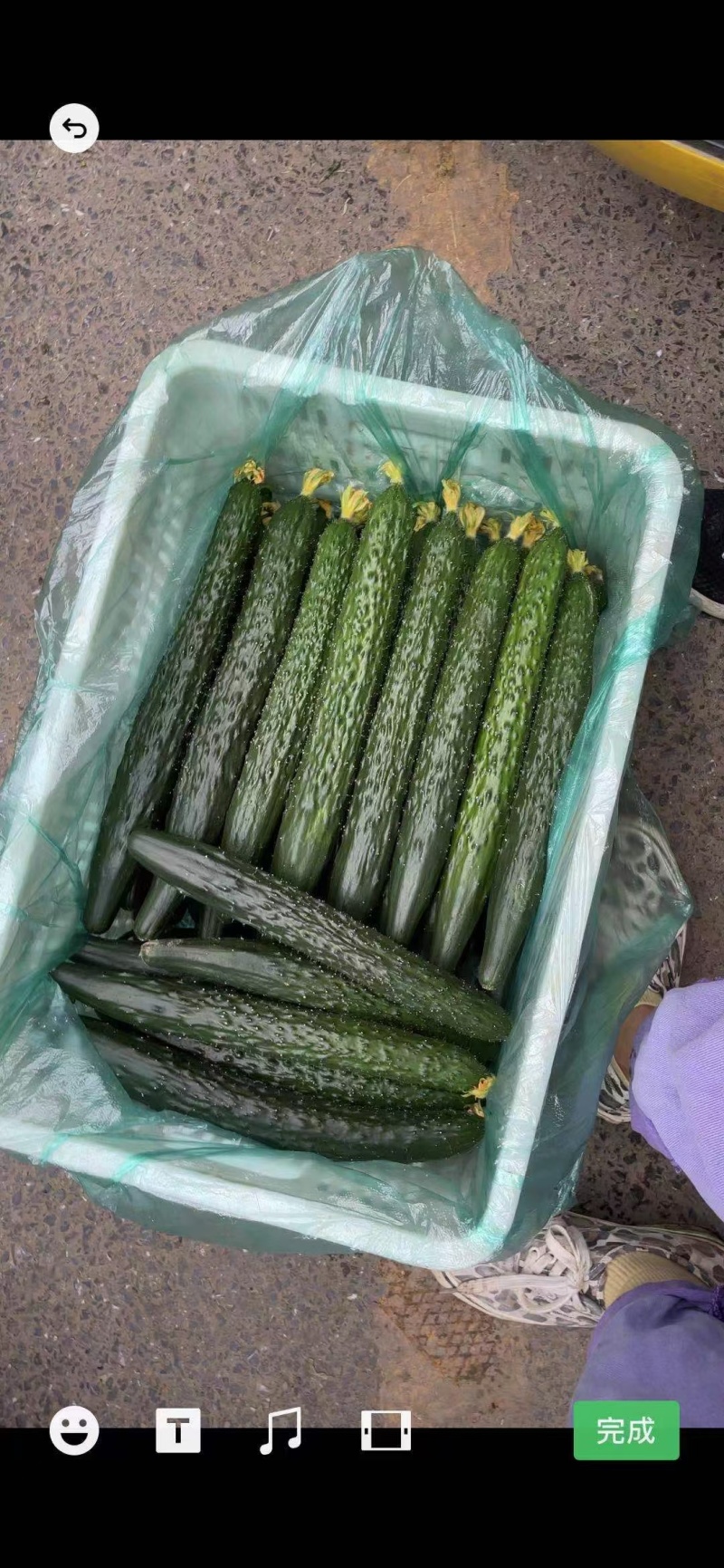 黄瓜18~22公分鲜花带刺，精品黄瓜，**的精品。