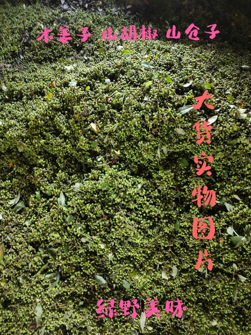 山胡椒新鲜木姜子山仓子现摘现发大量供应量大价优