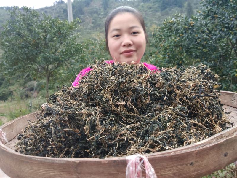 野生苦菜干新鲜苦斋婆农家自晒野菜干煲汤菜干