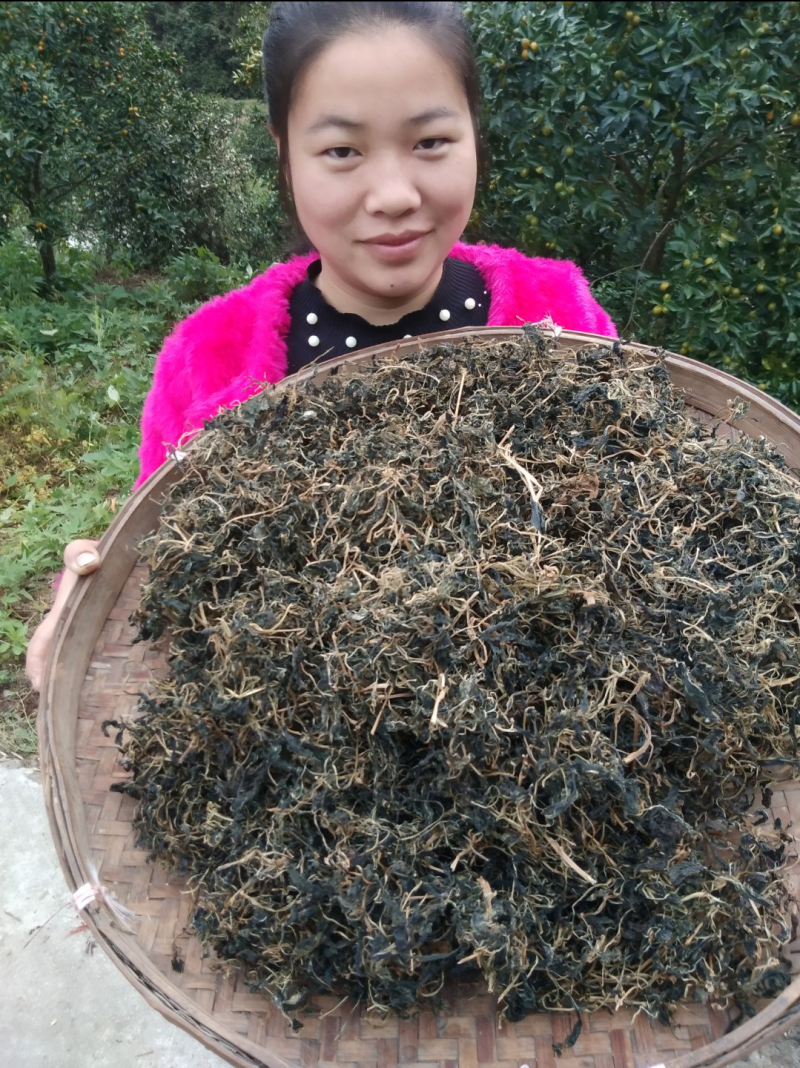 野生苦菜干新鲜苦斋婆农家自晒野菜干煲汤菜干