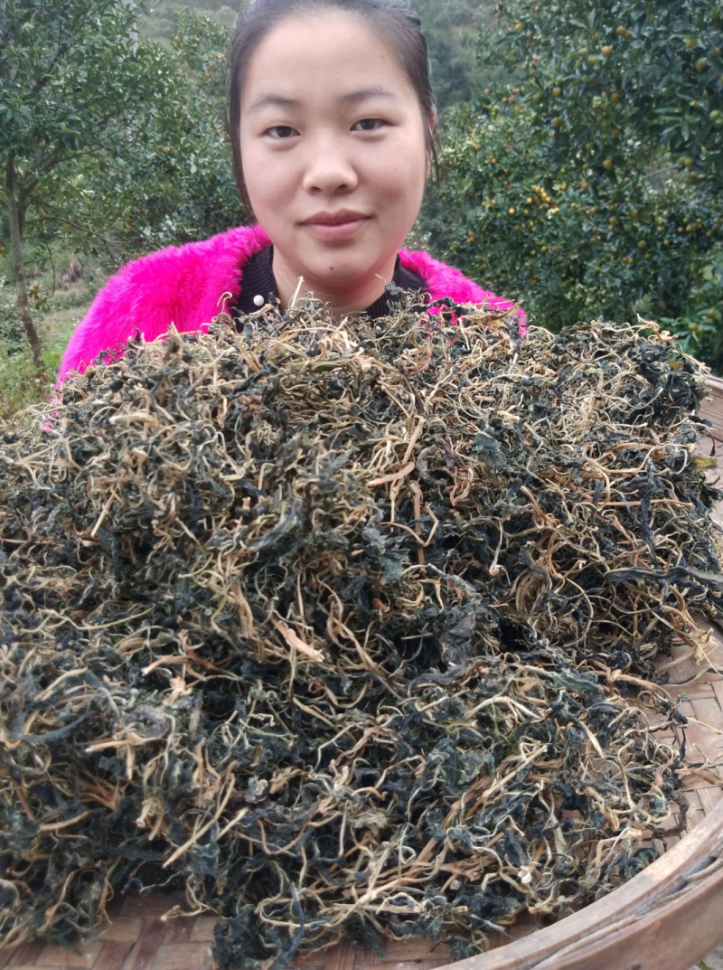 野生苦菜干新鲜苦斋婆农家自晒野菜干煲汤菜干