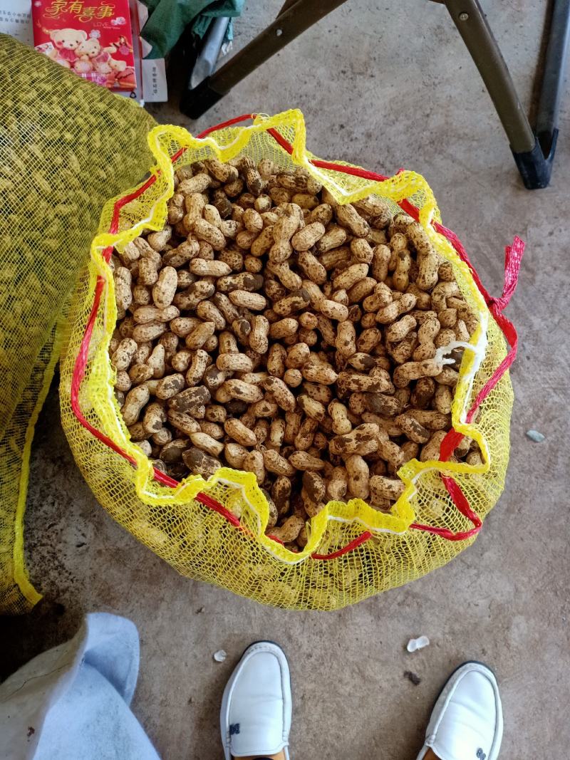 小白沙鲜果