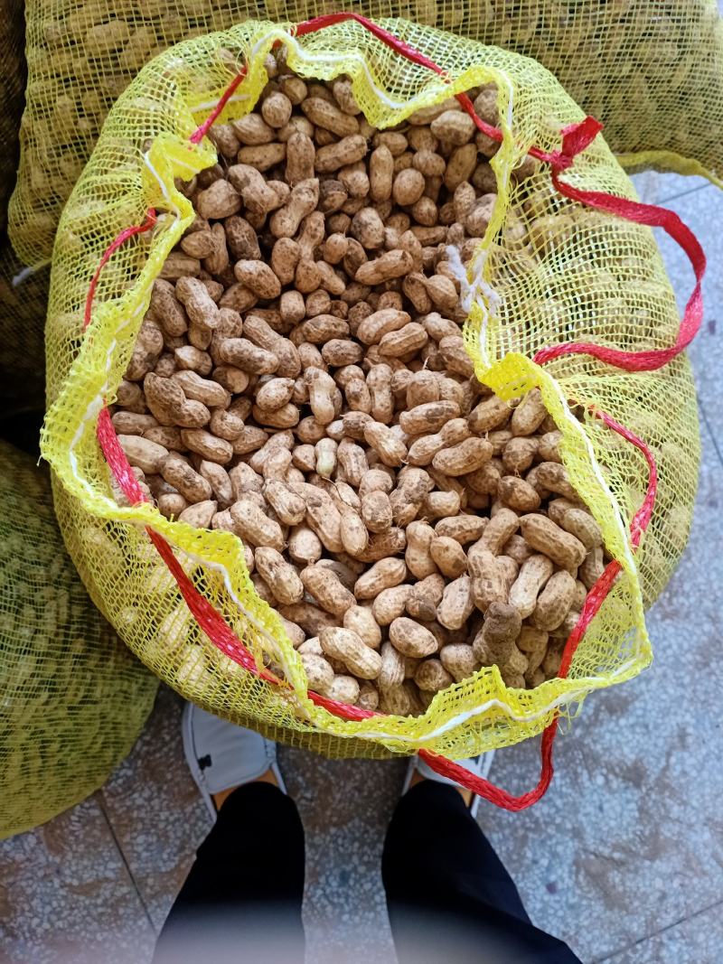 小白沙鲜果