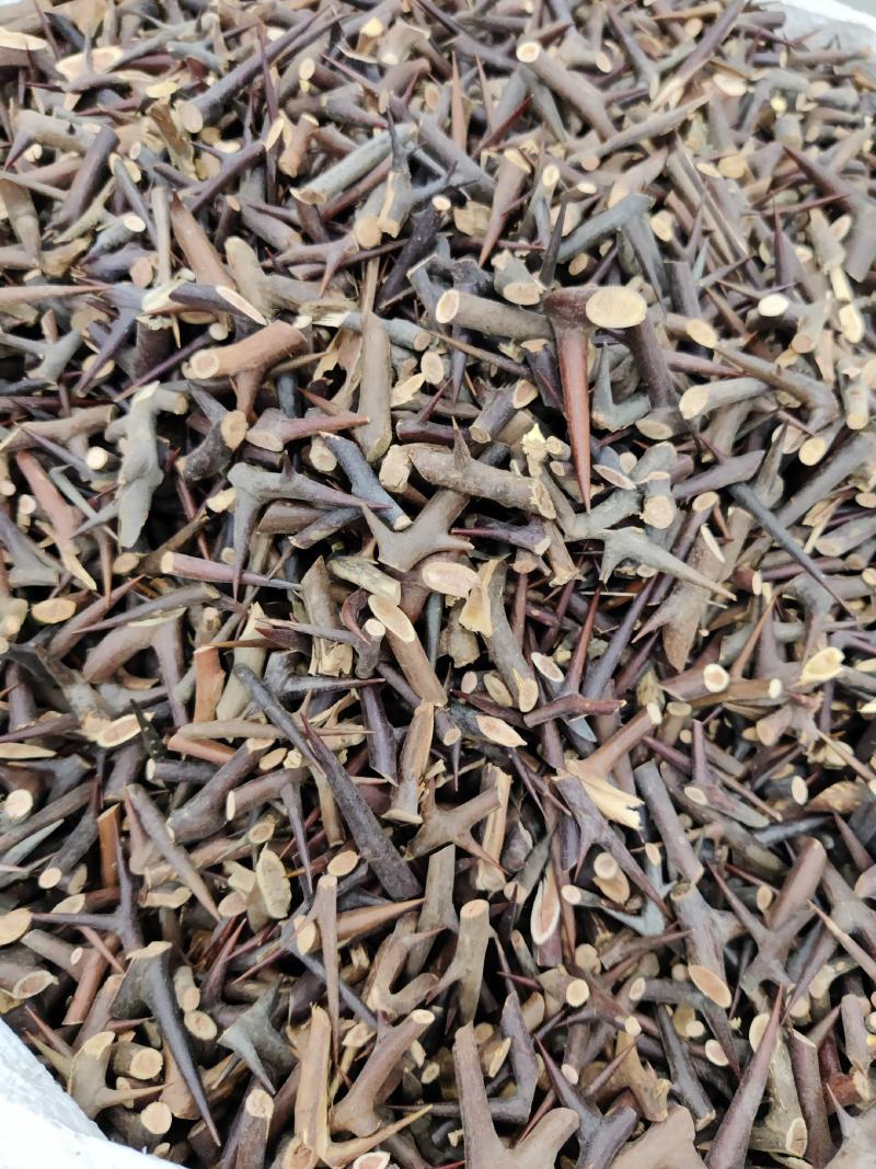 皂刺中药材皂角刺一公斤起批山东零售批发