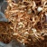 大量批发北虫草虫草花散装次草适合打粉提取等