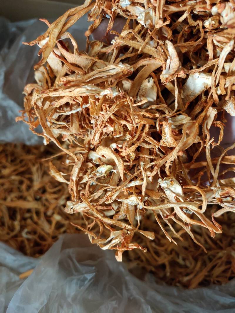 大量批发北虫草虫草花散装次草适合打粉提取等