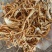 大量批发北虫草虫草花散装次草适合打粉提取等