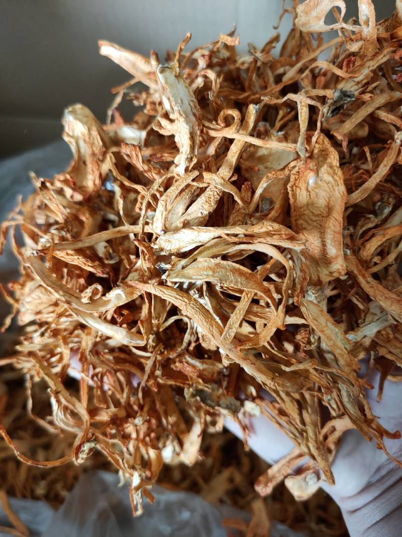 大量批发北虫草虫草花散装次草适合打粉提取等