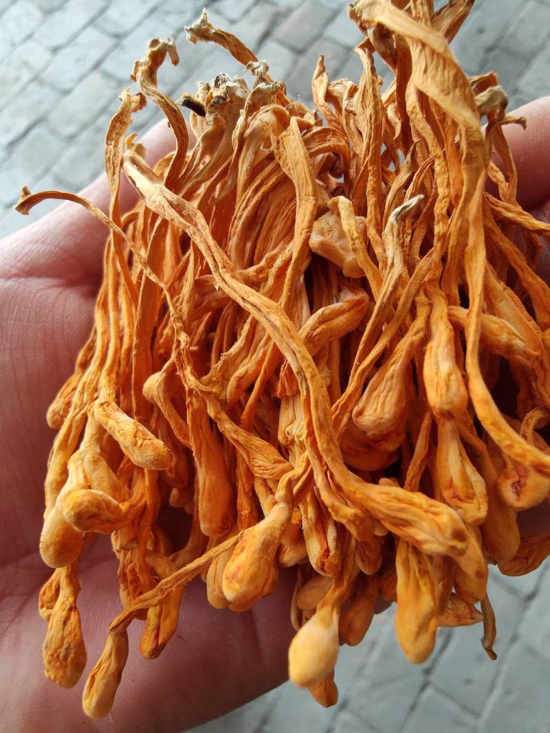 礼盒小包装虫草花，孢子头大颜色均匀，无硫黄熏。