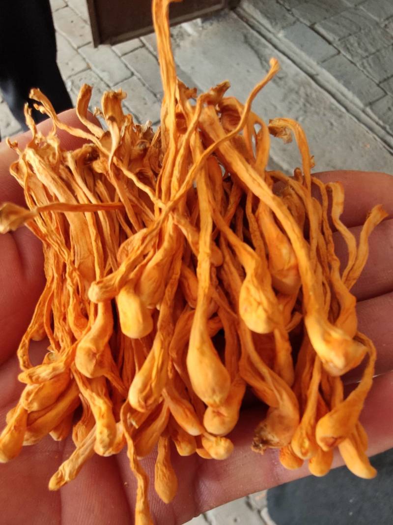 礼盒小包装虫草花，孢子头大颜色均匀，无硫黄熏。
