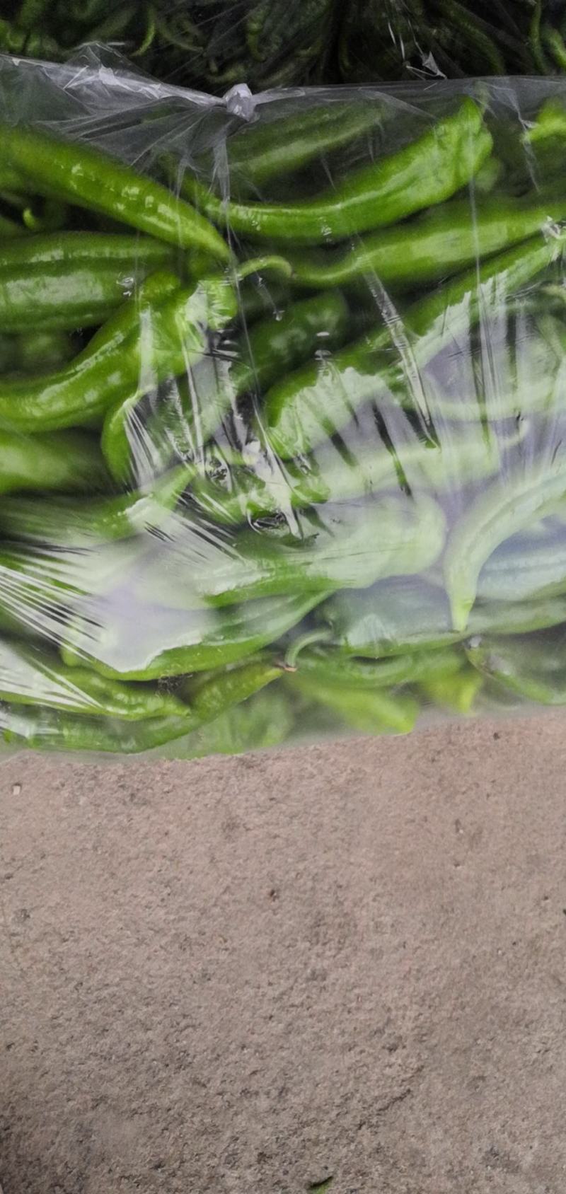 鲜辣椒