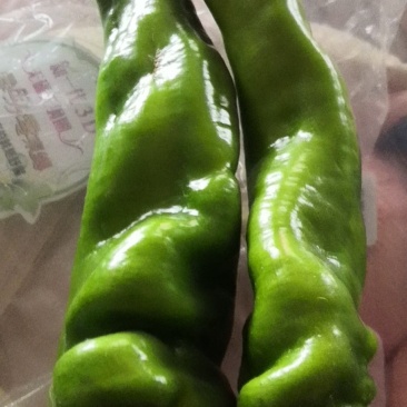 鲜辣椒