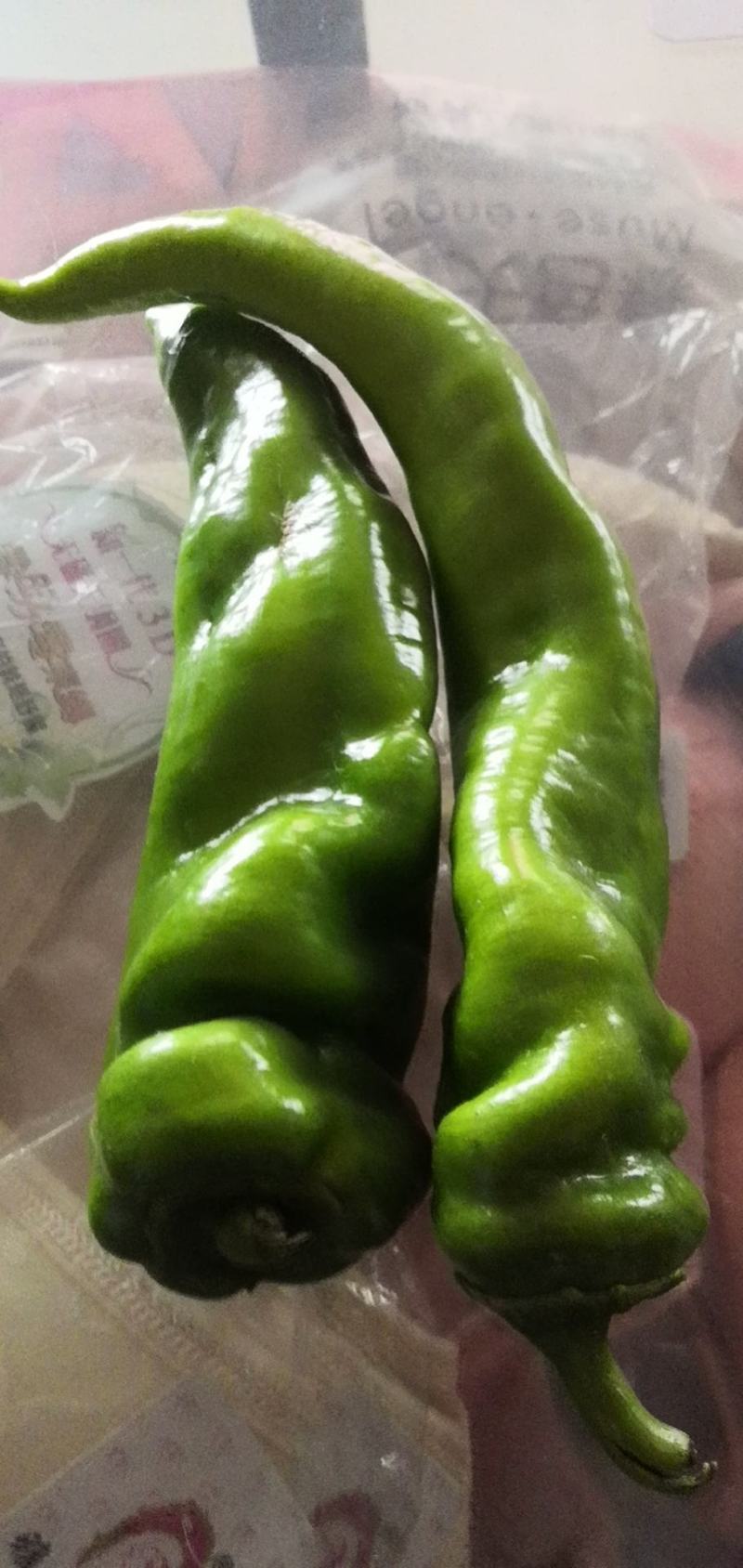 鲜辣椒
