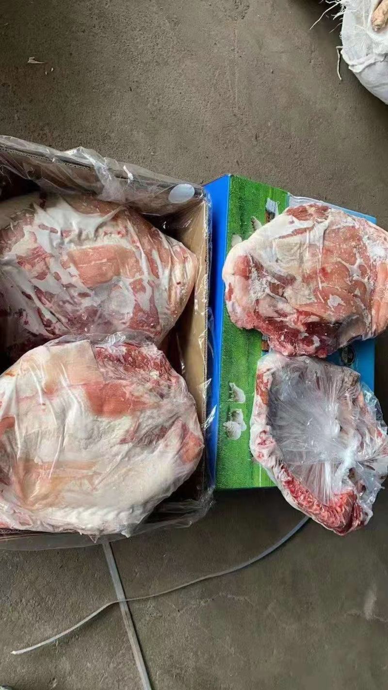 内蒙羔羊排，瘦度高，质量好，一手货源，全国冷链发货