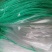 沃柑撑果网柑橘撑果网沃柑吊果网柑橘吊果网果树吊果网农用