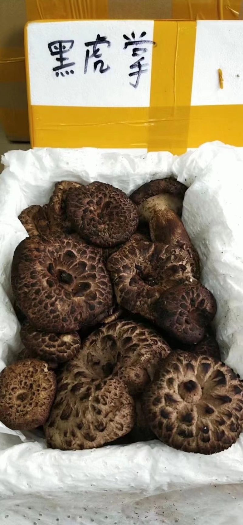 2021新鲜云南黑虎掌菌