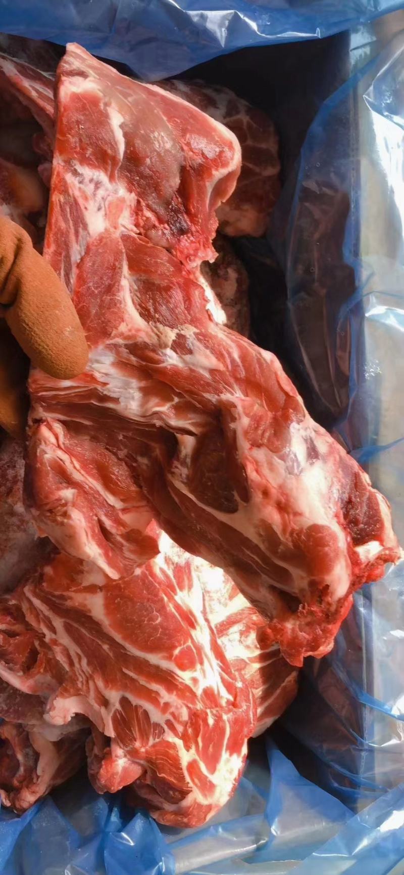 多肉猪胫骨