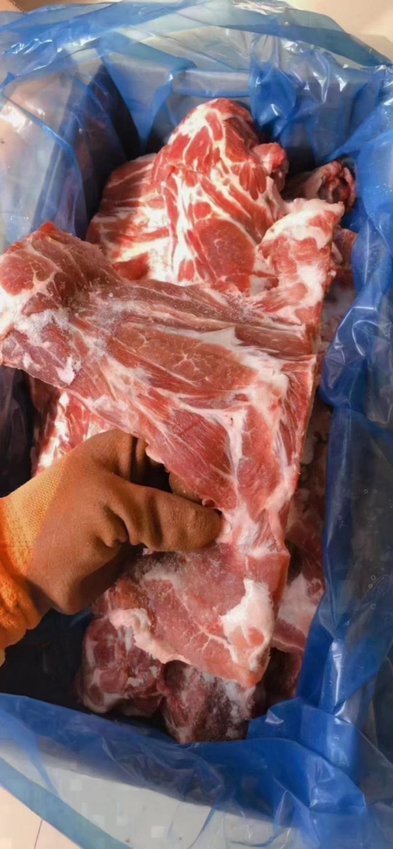 多肉猪胫骨