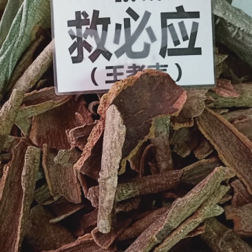 中藥材批發救必应有大量貨源充足欢迎選購