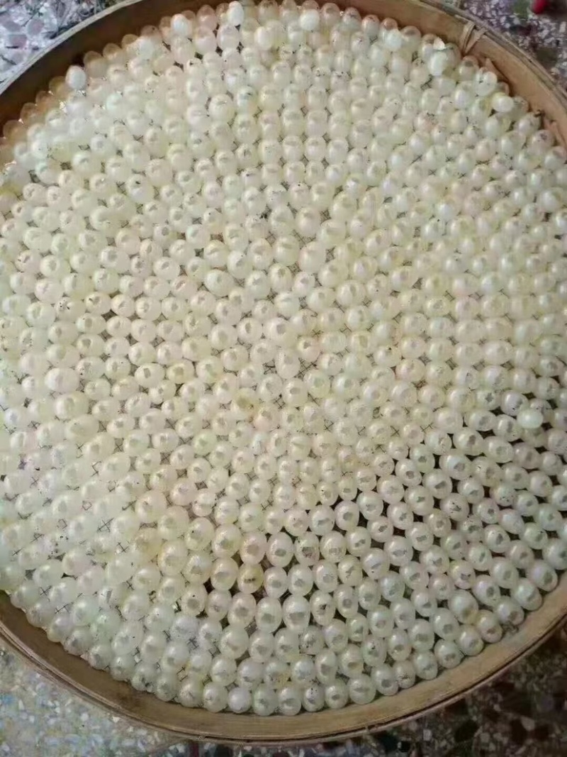 纯手工挑选好果，当天摘当天加工