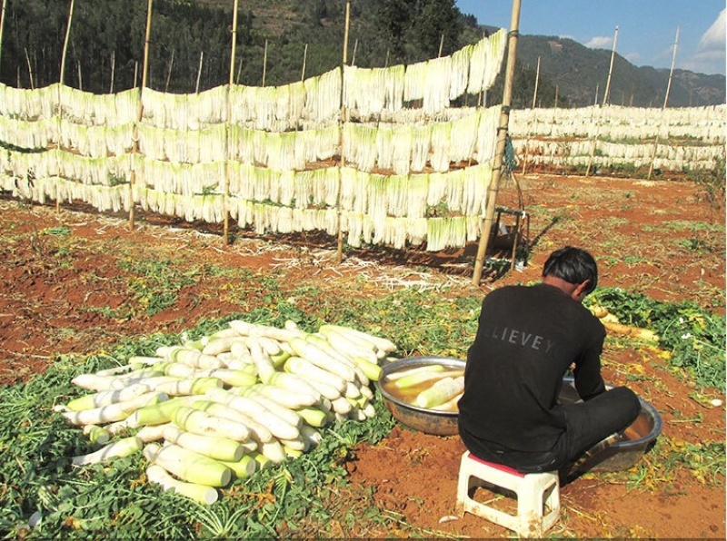 湖南土特产干萝卜条农家自制