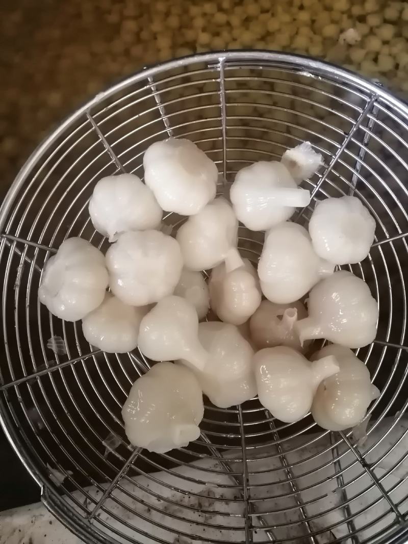 自家工厂生产的白糖蒜，酸豆角，酸白菜，红油地环，质量上乘
