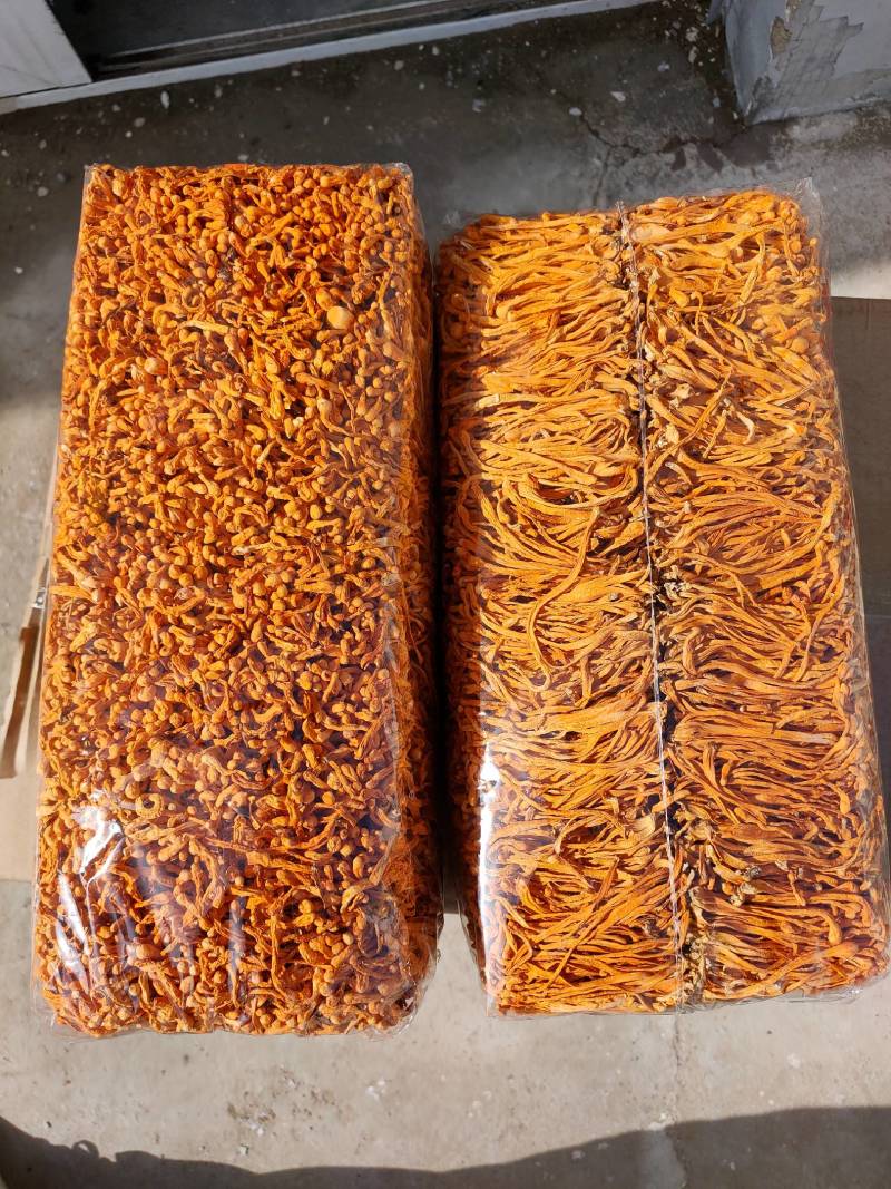 虫草花干货孢子头虫草花排草颜色好煲汤配菜产地批发一手货源