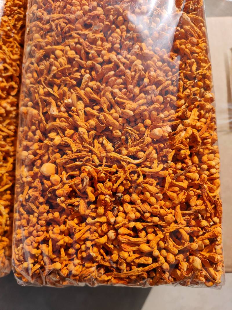 虫草花干货孢子头虫草花排草颜色好煲汤配菜产地批发一手货源