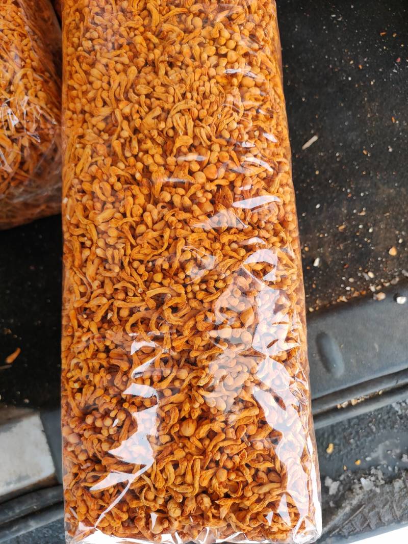 虫草花干货孢子头虫草花排草颜色好煲汤配菜产地批发一手货源