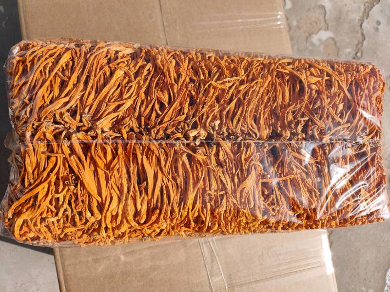 虫草花干货孢子头虫草花排草颜色好煲汤配菜产地批发一手货源
