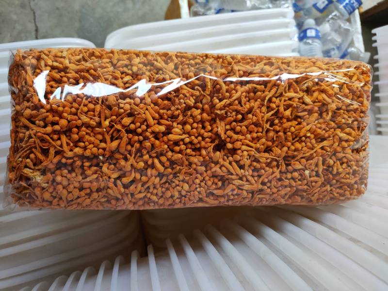 中条小孢子头虫草花，中间干净无硫磺熏，干货虫草花