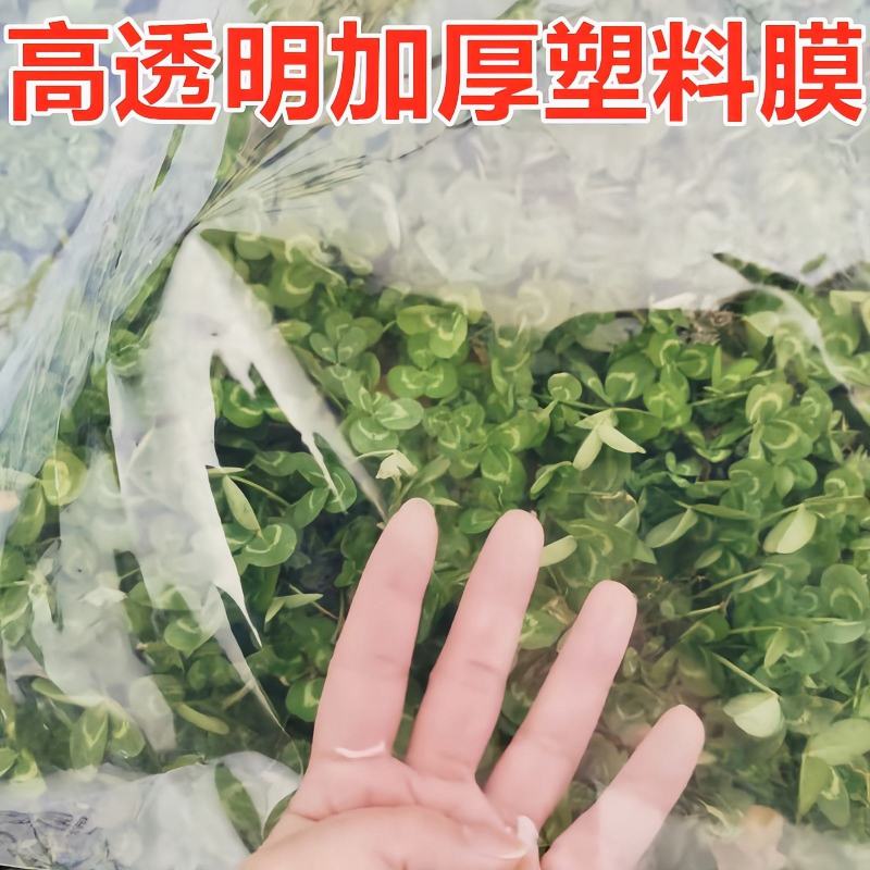 大棚膜塑料薄膜农膜:葡萄避雨膜砂糖橘专用防寒膜