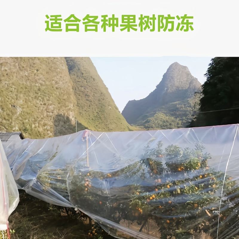 大棚膜塑料薄膜农膜:葡萄避雨膜砂糖橘专用防寒膜