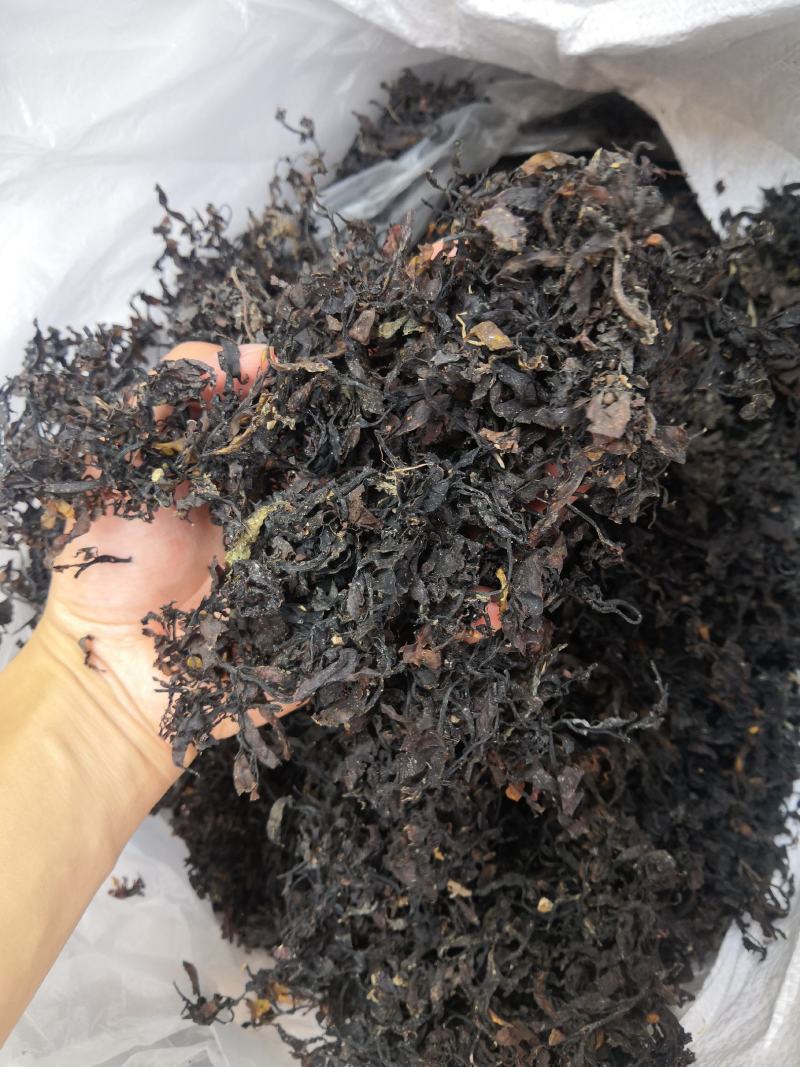 无硫无添加海藻农产品产地直销量大从优