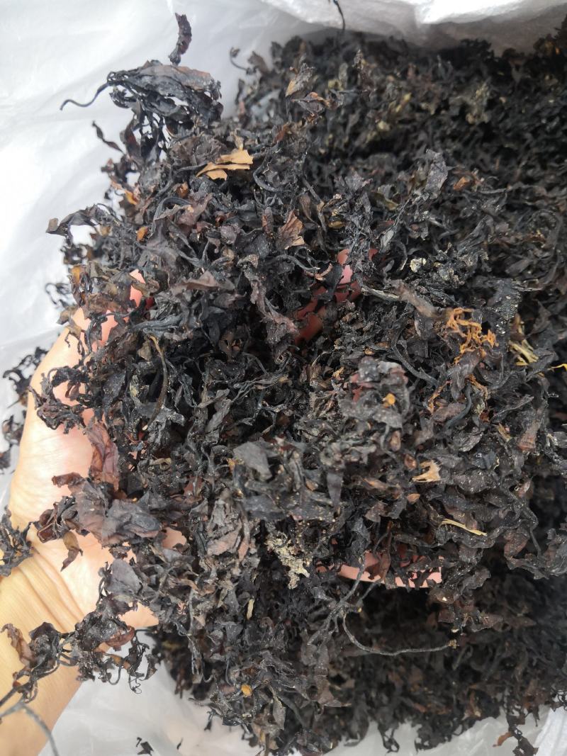 无硫无添加海藻农产品产地直销量大从优